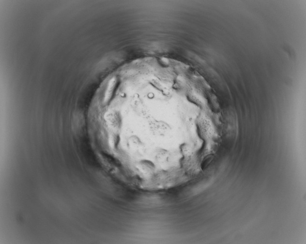 X0000113980523200910161625