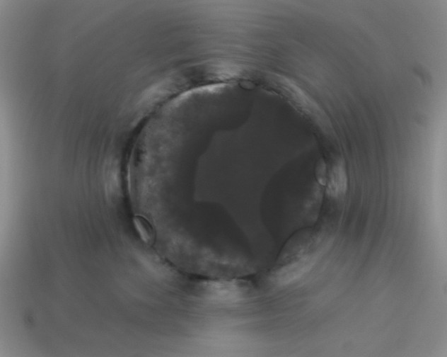 X0000113980524200910161625