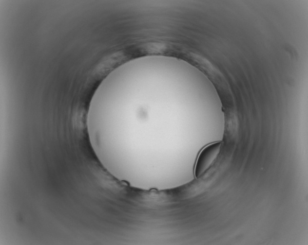 X0000113980525200910161625