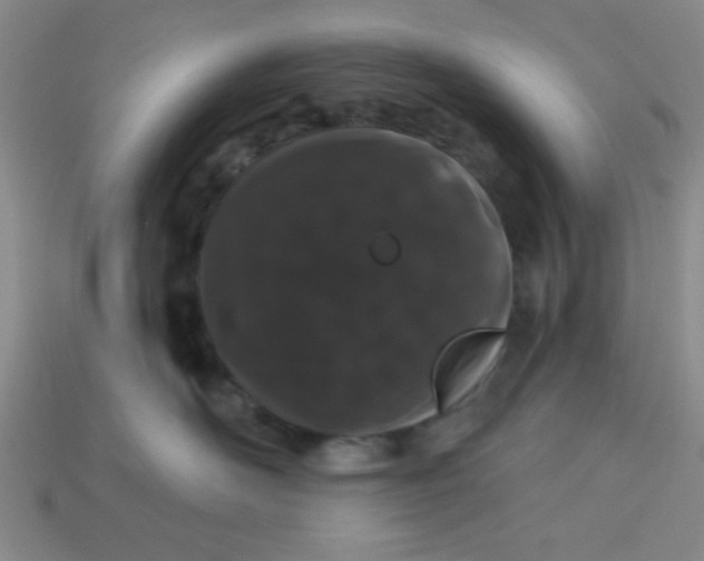 X0000113980526200910161625