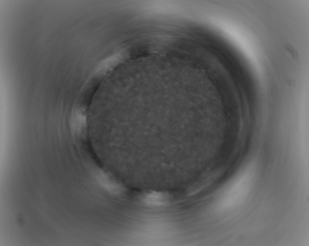 X0000113980527200910161625