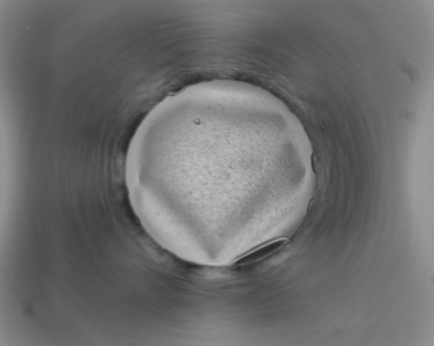 X0000113980528200910161625