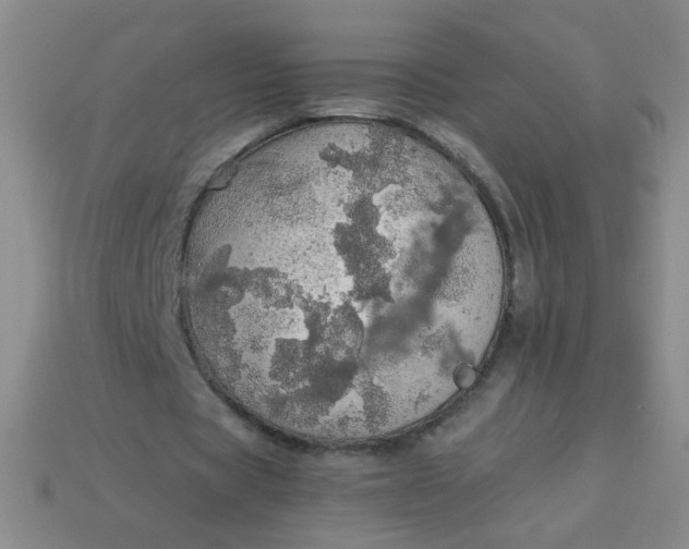 X0000113980529200910161624