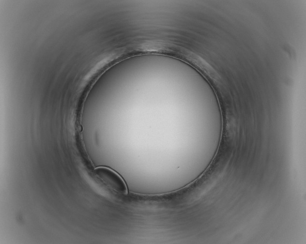 X0000113980530200910161624