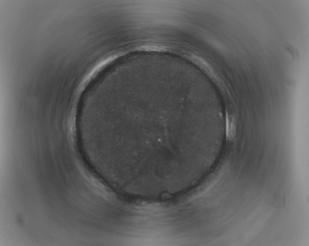 X0000113980531200910161624