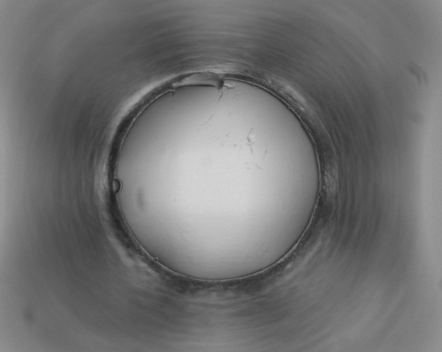 X0000113980532200910161624