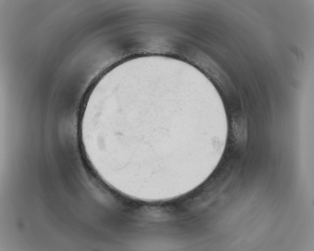 X0000113980534200910161624