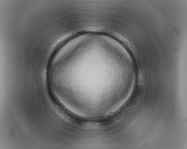 X0000113980535200910161624