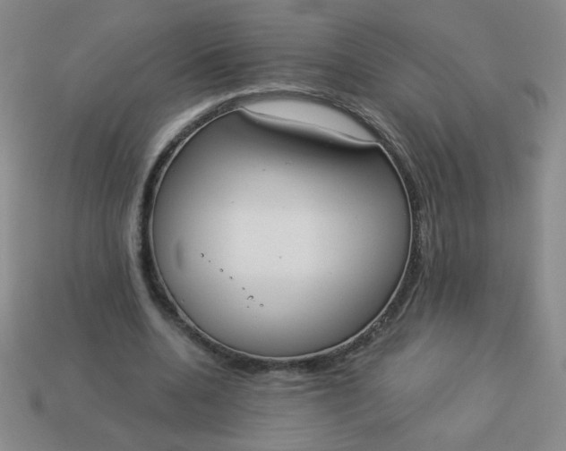 X0000113980536200910161624