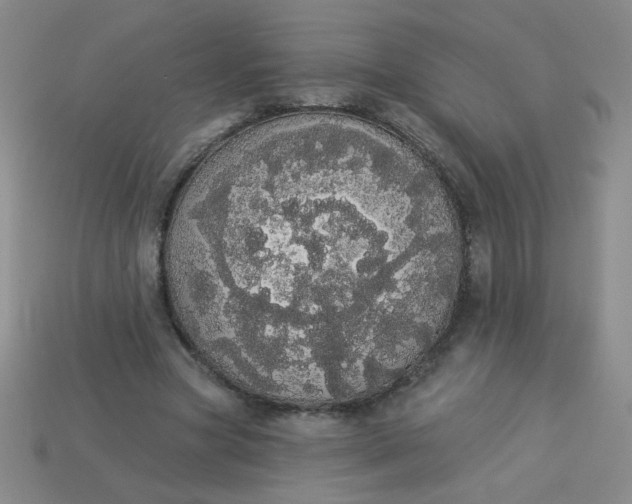 X0000113980537200910161624