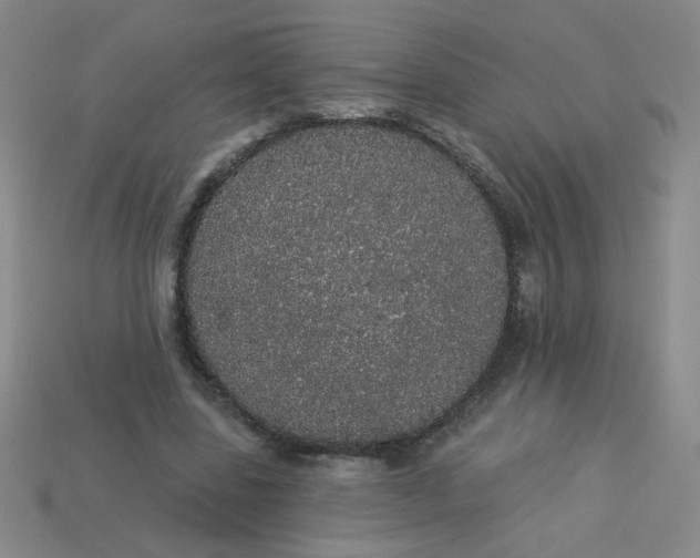 X0000113980539200910161625