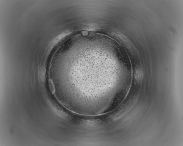 X0000113980540200910161625