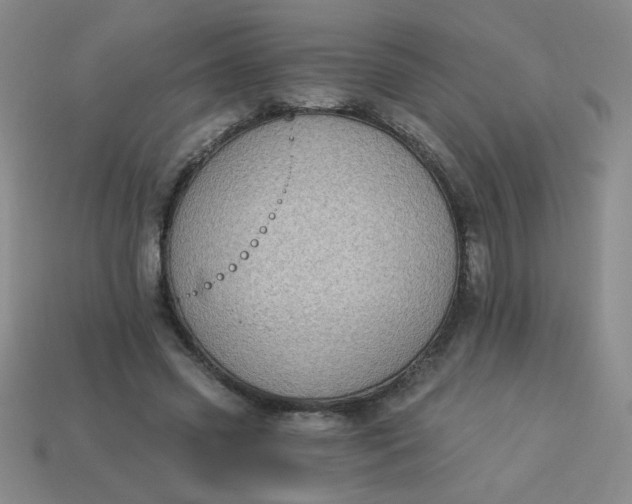 X0000113980541200910161625