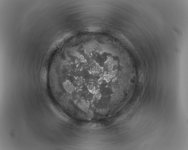 X0000113980542200910161625