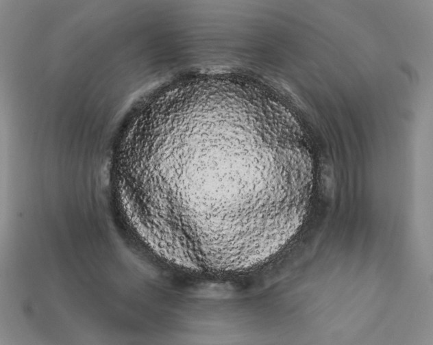 X0000113980543200910161625