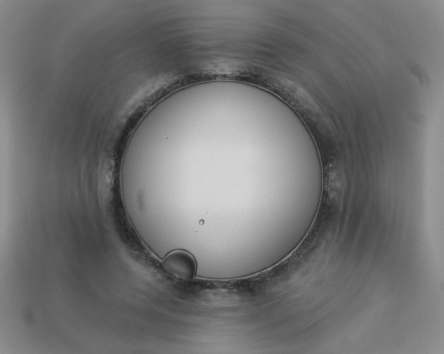 X0000113980544200910161625