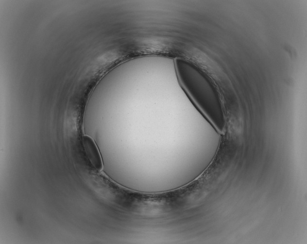 X0000113980546200910161625