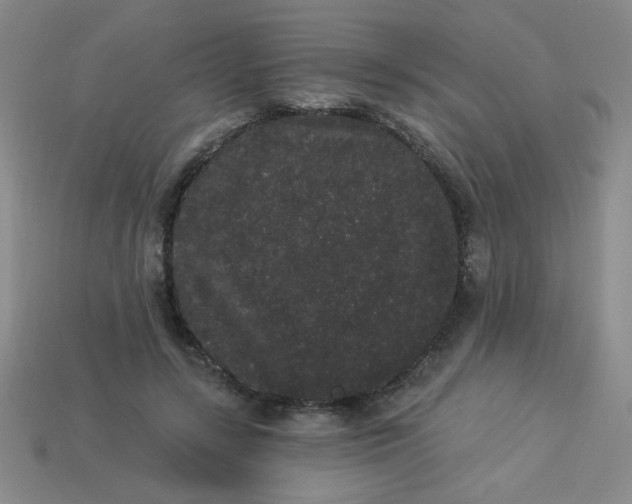 X0000113980547200910161625