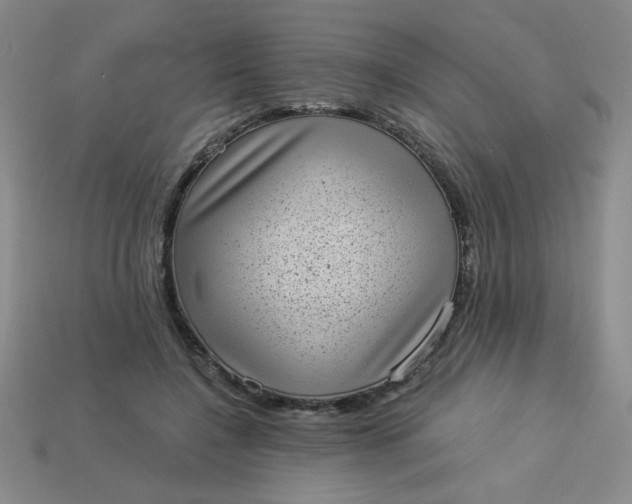 X0000113980548200910161625