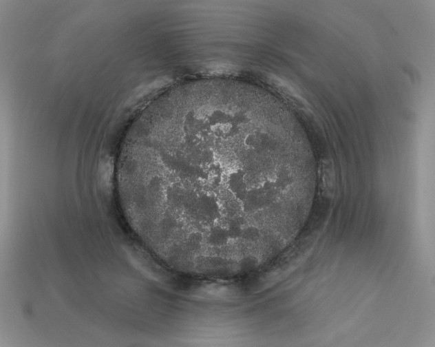 X0000113980550200910161625