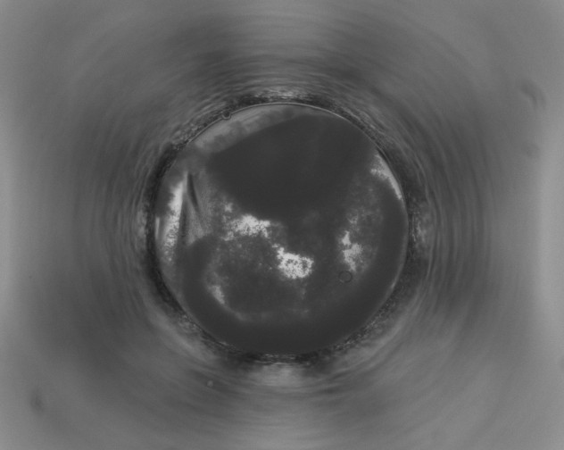 X0000113980551200910161625