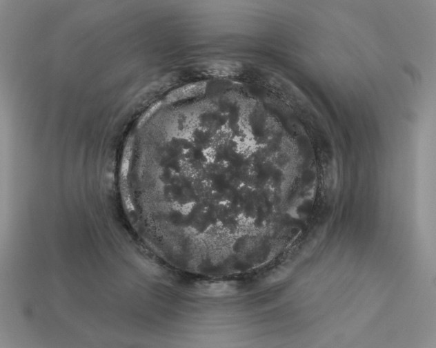 X0000113980553200910161625