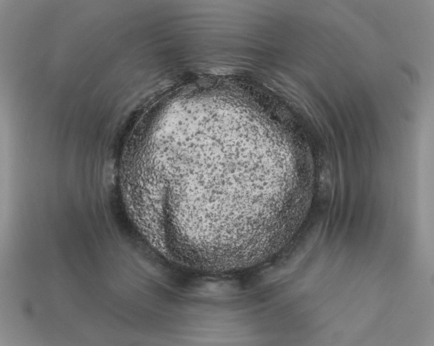 X0000113980555200910161625