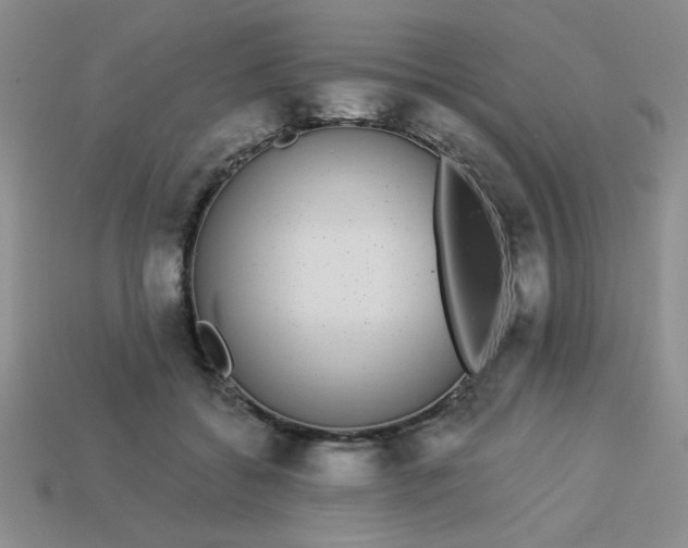 X0000113980556200910161625