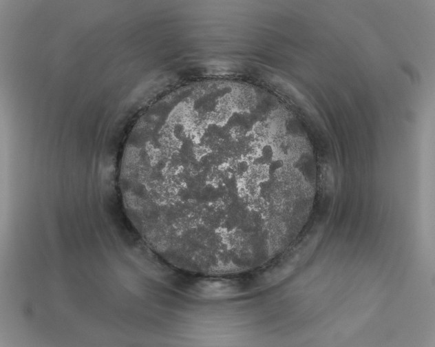 X0000113980557200910161625