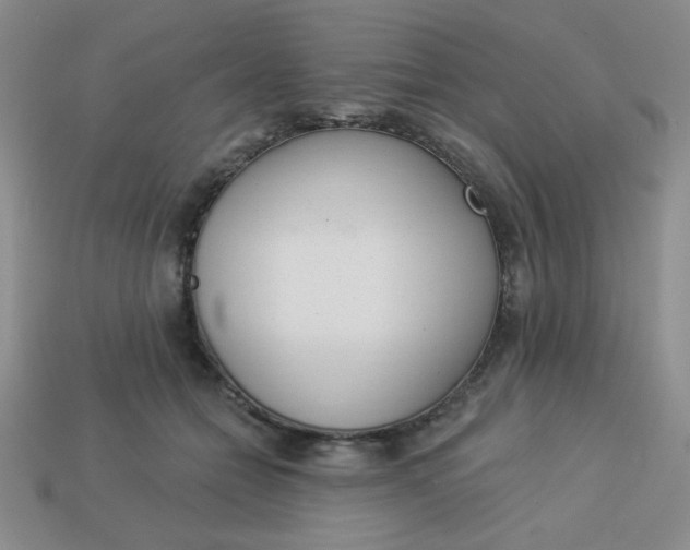 X0000113980558200910161625