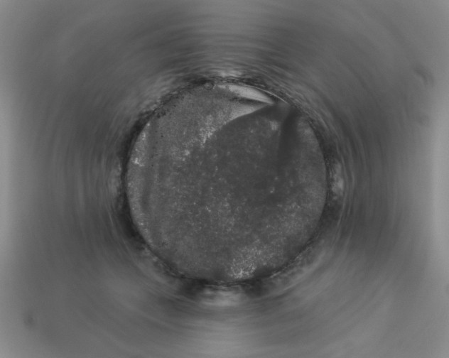 X0000113980559200910161625