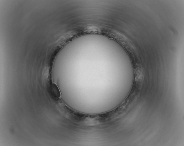 X0000113980560200910161625