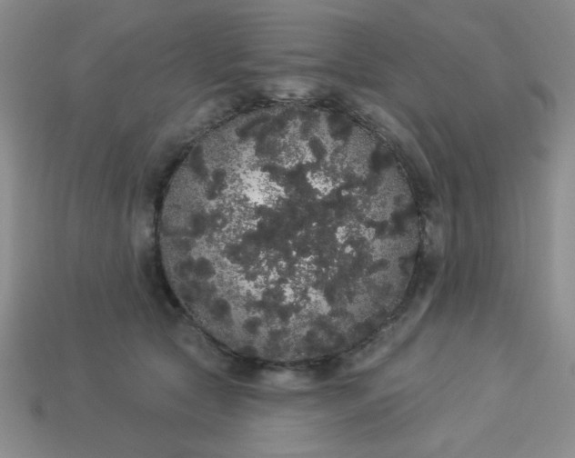 X0000113980561200910161625