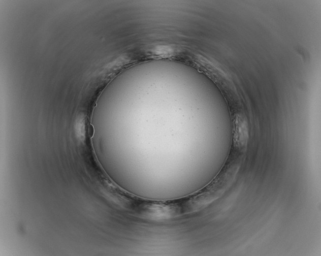 X0000113980562200910161625