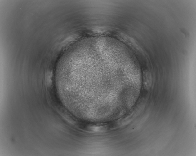 X0000113980563200910161625