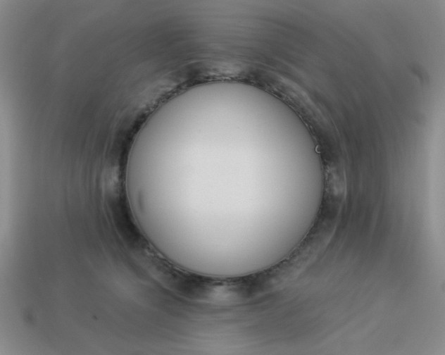 X0000113980564200910161625