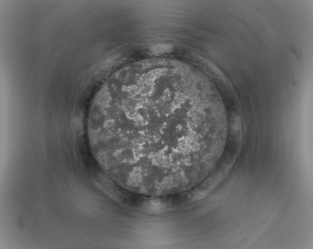 X0000113980565200910161625