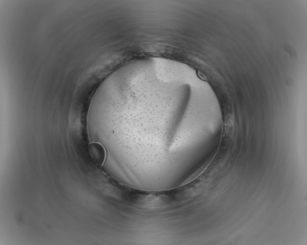 X0000113980566200910161625