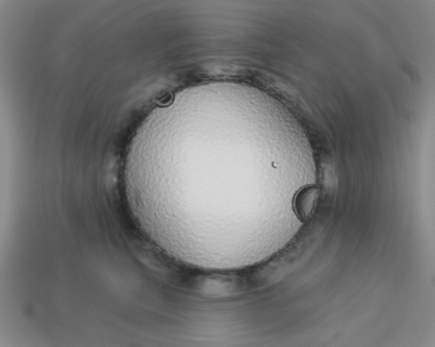 X0000113980567200910161625