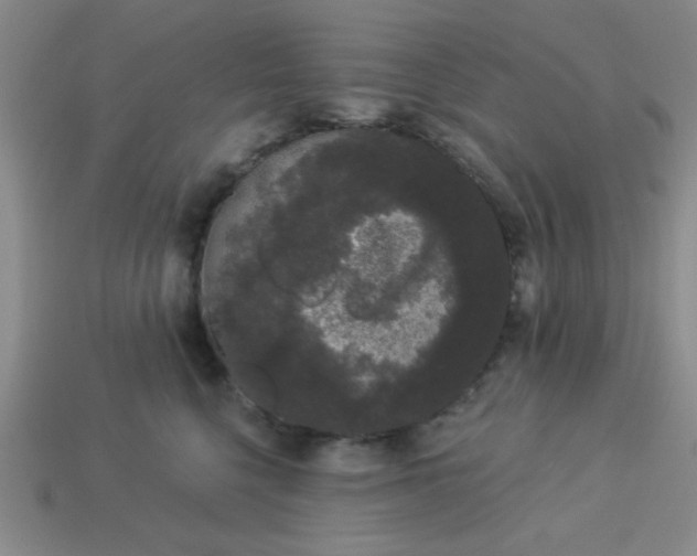 X0000113980568200910161625