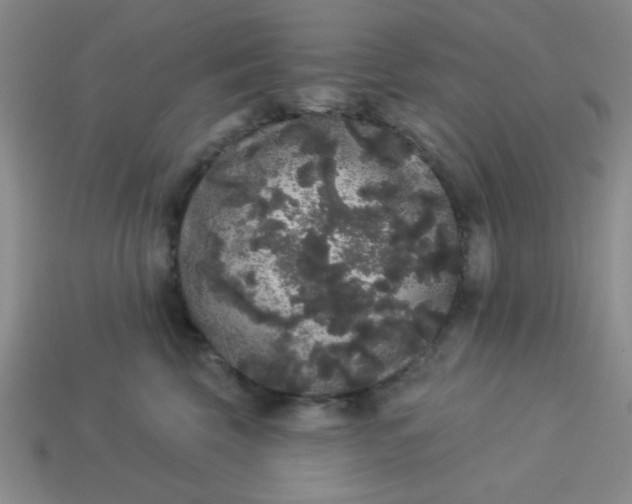 X0000113980569200910161625