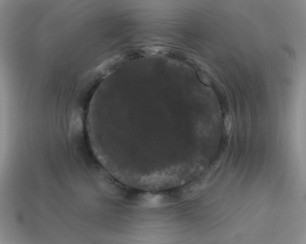 X0000113980570200910161625