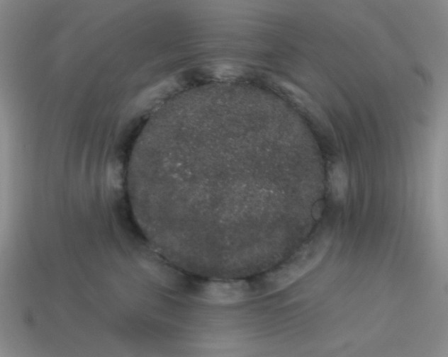 X0000113980571200910161625