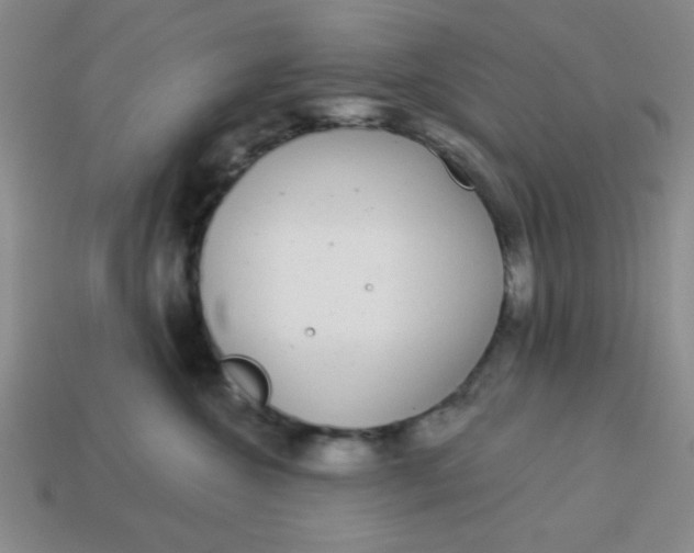 X0000113980572200910161625