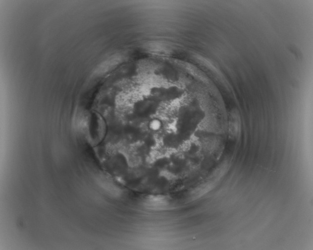 X0000113980573200910161625