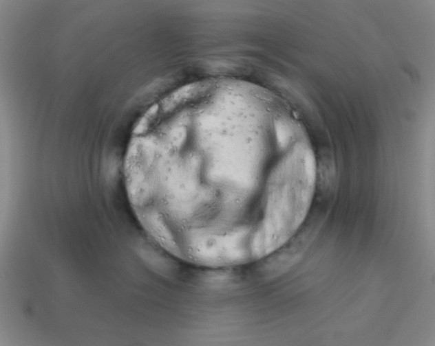 X0000113980574200910161625