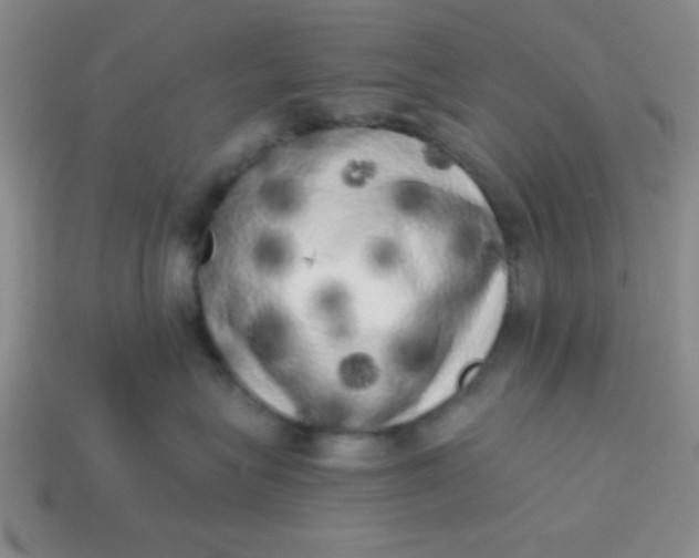 X0000113980575200910161625