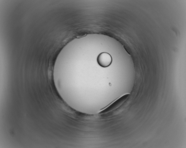 X0000113980576200910161625