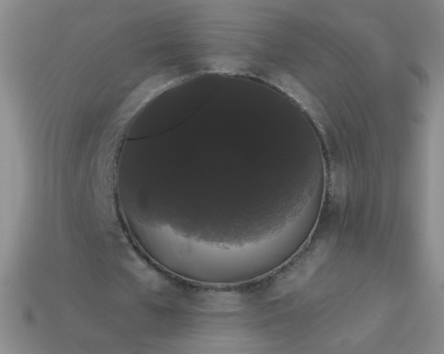 X0000113980577200910161624