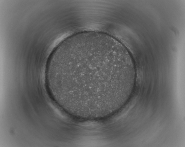 X0000113980578200910161624